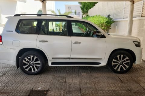 Toyota V8 2020 diesel